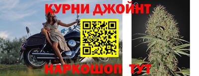 гидра Заволжье