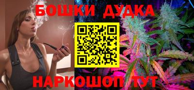 гидра Заволжье