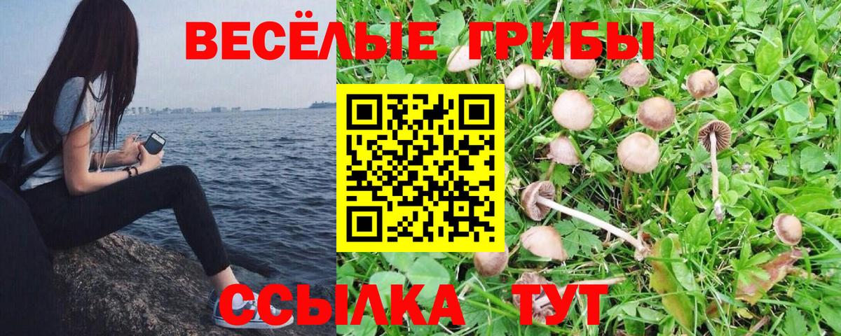 Галлюциногенные грибы Magic Shrooms Воткинск