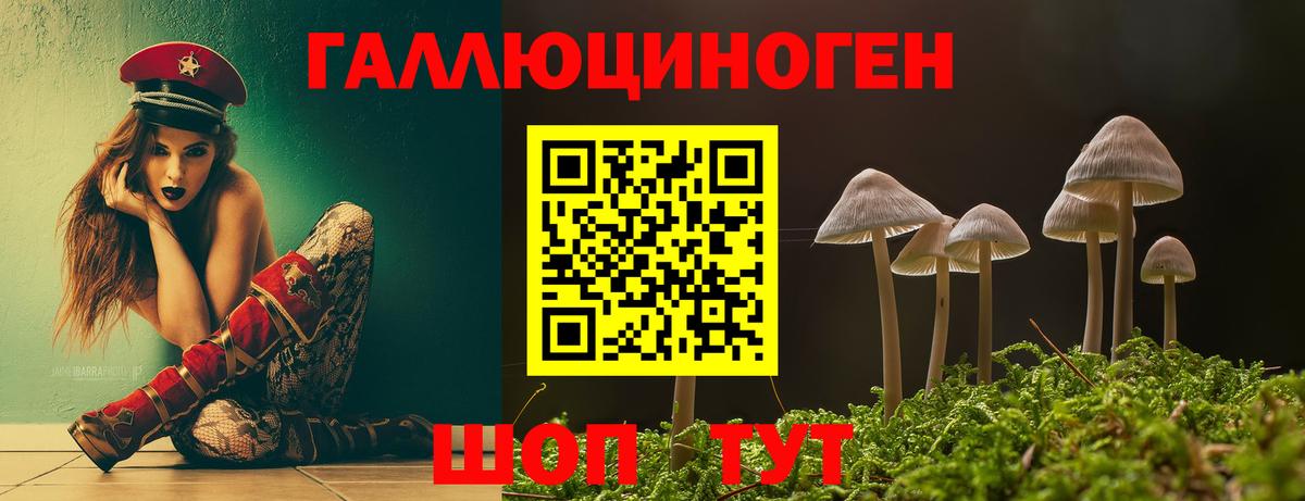 хочу   Вход с VPN  Воткинск  Псилоцибиновые грибы мухоморы  Галлюциногенные грибы GOLDEN TEACHER 